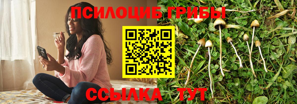 Бошки Шишки Ревда